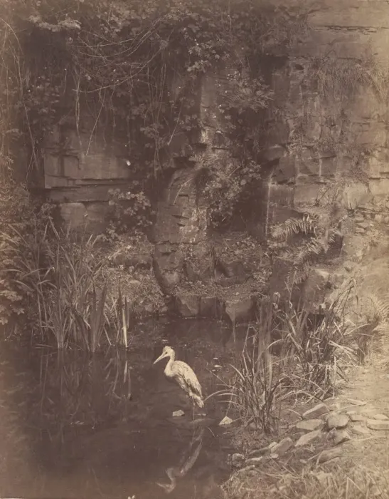 Framed Print : Piscator, No. 2, 1856. Creator: John Dillwyn Llewelyn Framed Print : Piscator, No. 2, 1856. Creator: John Dillwyn Llewelyn