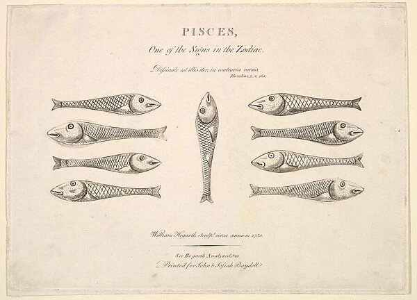 Pisces: Hogarth's Quadrille Fish, ca. 1730. Creator: Unknown