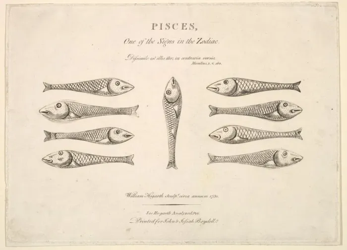 Framed Print : Pisces: Hogarths Quadrille Fish, ca. 1730. Creator: Unknown Framed Print : Pisces: Hogarths Quadrille Fish, ca. 1730. Creator: Unknown