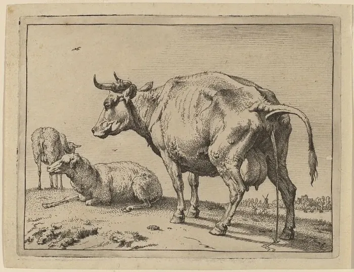 Framed Print : Pissing Cow, 1650. Creator: Paulus Potter Framed Print : Pissing Cow, 1650. Creator: Paulus Potter