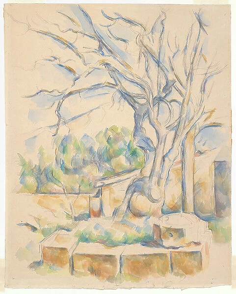 Pistachio Tree at Château Noir, c. 1900. Creator: Paul Cezanne