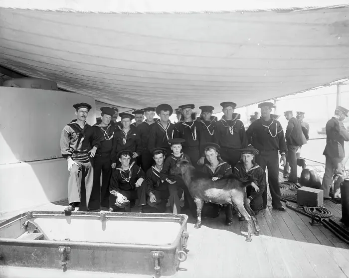 Framed Print : Pitch, the ship's mascot, between 1893 and 1901. Creator: Edward H Hart Framed Print : Pitch, the ship's mascot, between 1893 and 1901. Creator: Edward H Hart