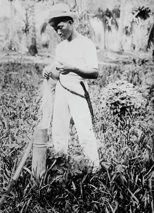 Framed Print : Placing buntal straw in vinegar, between c1915 and c1920. Creator: Bain News Service Framed Print : Placing buntal straw in vinegar, between c1915 and c1920. Creator: Bain News Service