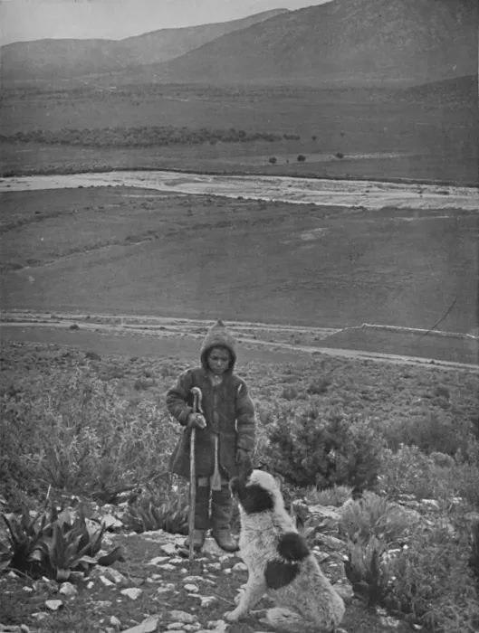 Framed Print : The Plain of Marathon, 1913 Framed Print : The Plain of Marathon, 1913