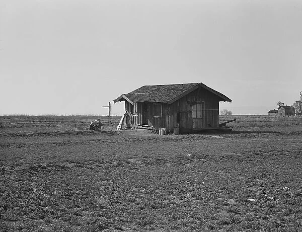 On the plains west of Fresno, California, 1939. Creator: Dorothea Lange