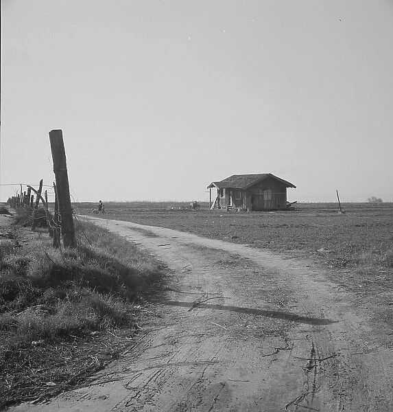 On the plains west of Fresno, California, 1939. Creator: Dorothea Lange