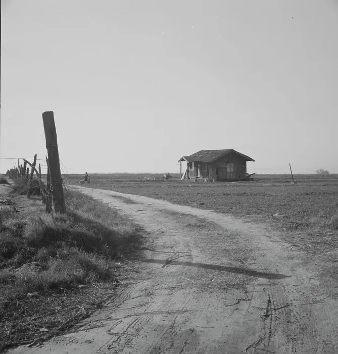 Framed Print : On the plains west of Fresno, California, 1939. Creator: Dorothea Lange