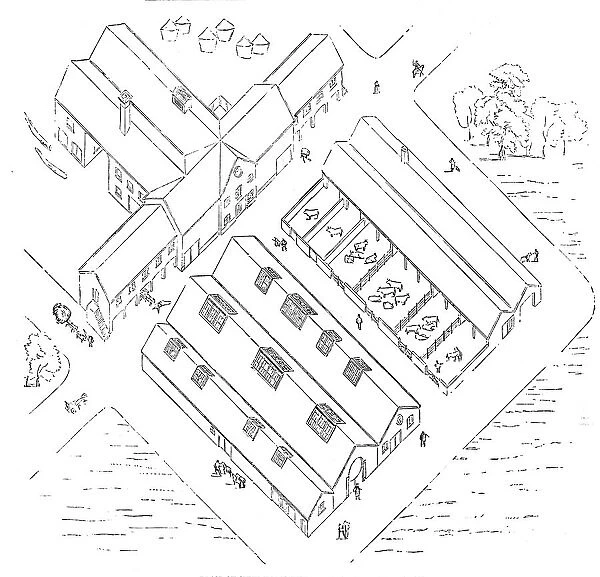 Plan of New Farm Buildings at Shirburn, Oxon. 1857. Creator: Unknown