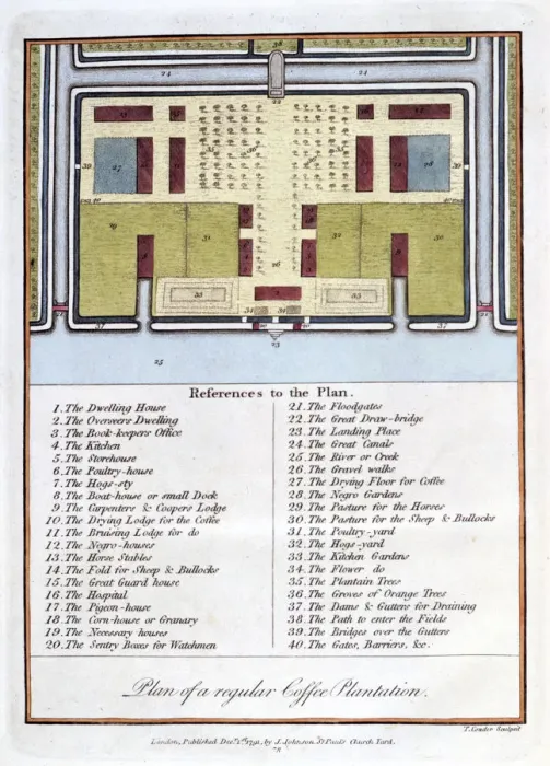 Framed Print : Plan of a Regular Coffee Plantation, 1813. Artist: John Gabriel Stedman Framed Print : Plan of a Regular Coffee Plantation, 1813. Artist: John Gabriel Stedman