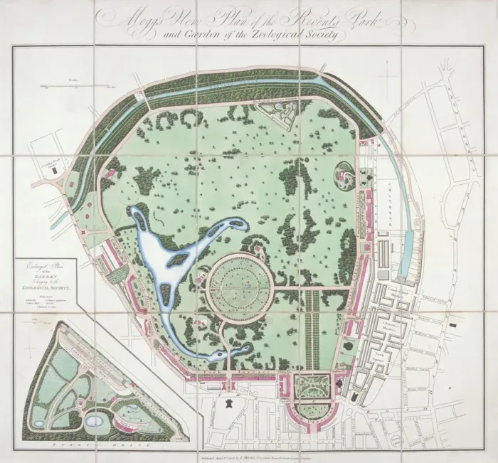 Framed Print : Plan of the Zoological Gardens, Regents Park, St Marylebone, London, 1828. Artist Framed Print : Plan of the Zoological Gardens, Regents Park, St Marylebone, London, 1828. Artist