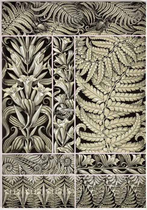 Framed Print : The plant ornaments, c. 1890 Framed Print : The plant ornaments, c. 1890
