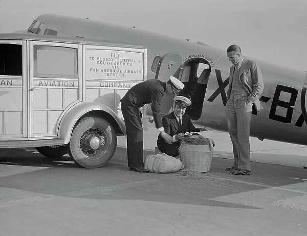 Plant quarantine inspector examining baggage brought into the US, Glendale, California, 1937. Creator: Dorothea Lange