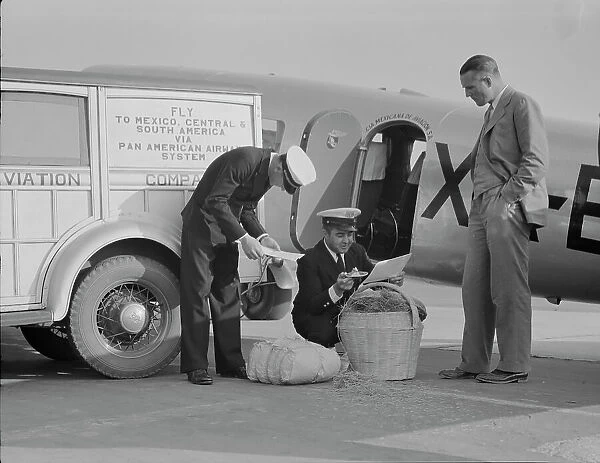 Plant quarantine inspectors examining baggage from Mexico, Glendale Airport, California, 1937. Creator: Dorothea Lange