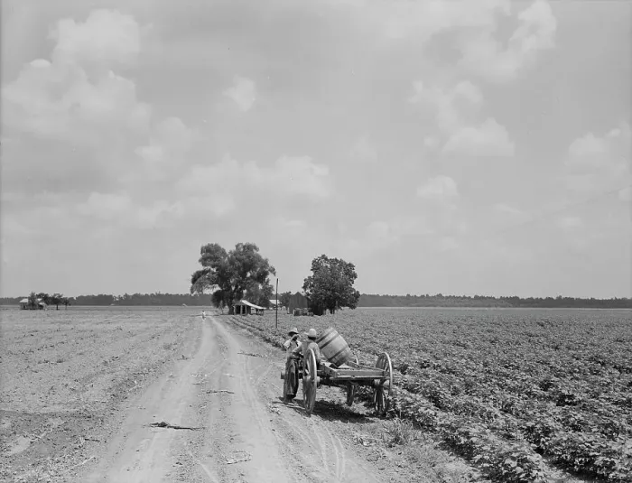 Framed Print : Plantation of Brazos riverbottoms, Texas, 1938. Creator: Dorothea Lange Framed Print : Plantation of Brazos riverbottoms, Texas, 1938. Creator: Dorothea Lange