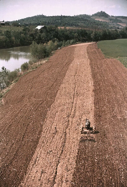 Planting corn along a river in Tennessee, 1940. Creator: Marion Post Wolcott
