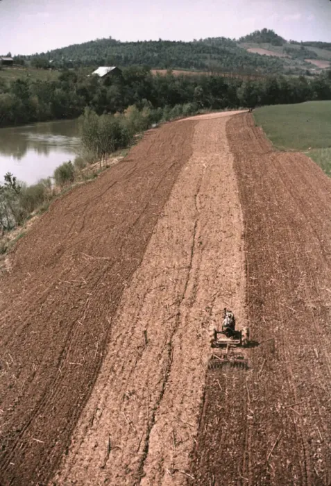 Framed Print : Planting corn along a river in Tennessee, 1940. Creator: Marion Post Wolcott Framed Print : Planting corn along a river in Tennessee, 1940. Creator: Marion Post Wolcott