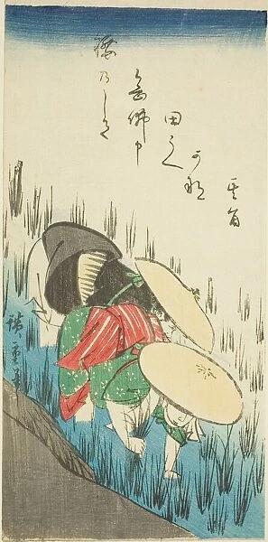 Planting rice, n. d. Creator: Ando Hiroshige