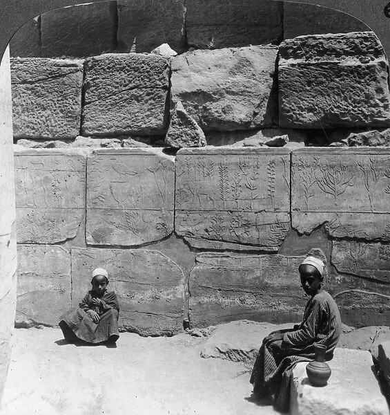Plants and animals brought from Syria by the Pharaohs, temple of Karnak, Egypt, 1905. Artist: Underwood & Underwood