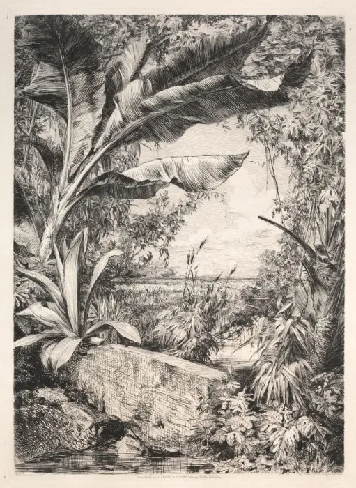 Framed Print : Plants of the Greenhouse, 1872. Creator: Jules Jacquemart (French, 1837-1880); A Framed Print : Plants of the Greenhouse, 1872. Creator: Jules Jacquemart (French, 1837-1880); A