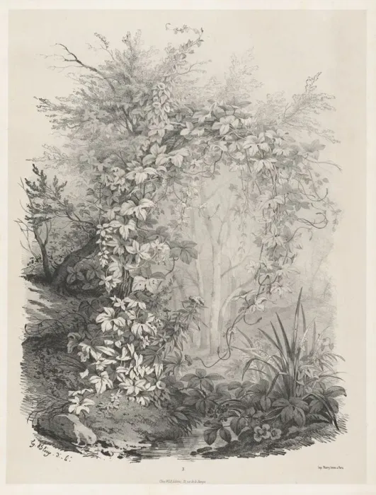 Framed Print : Plants and Ivies by a Stream, 1848 / 1849. Creator: Eugene Blery Framed Print : Plants and Ivies by a Stream, 1848 / 1849. Creator: Eugene Blery