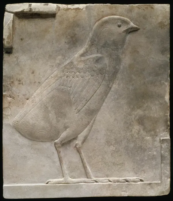 Framed Print : Plaque Depicting a Quail Chick, Egypt, Ptolemaic Period (332-30 BCE). Creator: Unknown Framed Print : Plaque Depicting a Quail Chick, Egypt, Ptolemaic Period (332-30 BCE). Creator: Unknown