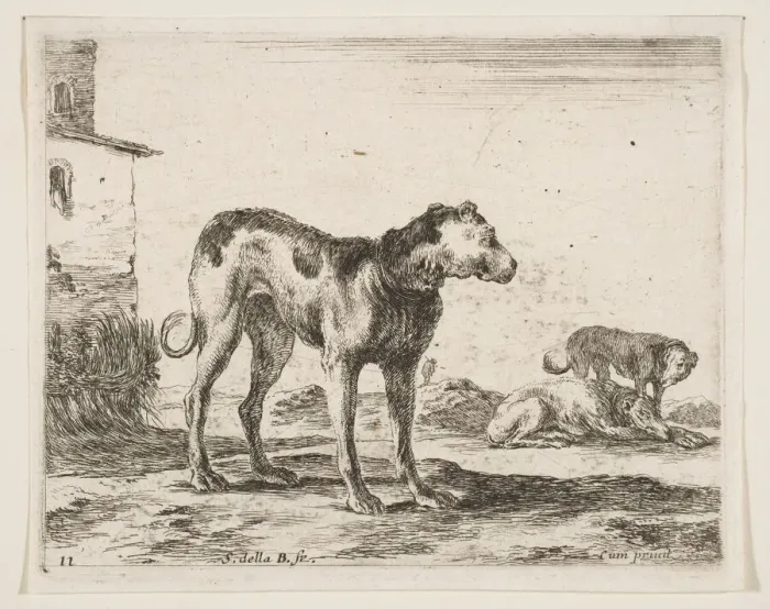 Framed Print : Plate 11: dogs, from Various animals (Diversi animali), ca. 1641 Framed Print : Plate 11: dogs, from Various animals (Diversi animali), ca. 1641