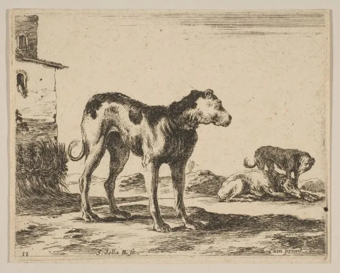 Framed Print : Plate 11: dogs, from Various animals (Diversi animali), ca. 1641 Framed Print : Plate 11: dogs, from Various animals (Diversi animali), ca. 1641