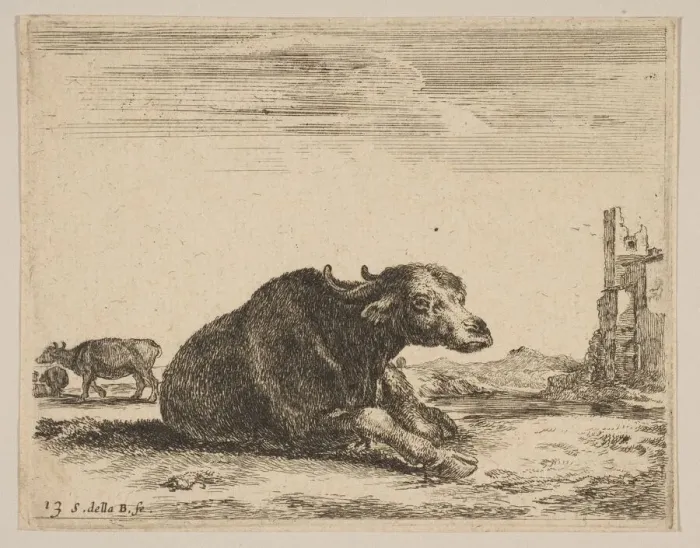 Framed Print : Plate 13: buffalo lying down, from Various animals (Diversi animali), ca. 1641 Framed Print : Plate 13: buffalo lying down, from Various animals (Diversi animali), ca. 1641