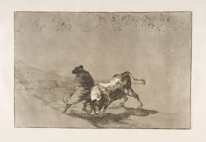 Framed Print : Plate 14 from the Tauromaquia : The very skillful student of Falces, wrapped in his cape Framed Print : Plate 14 from the Tauromaquia : The very skillful student of Falces, wrapped in his cape