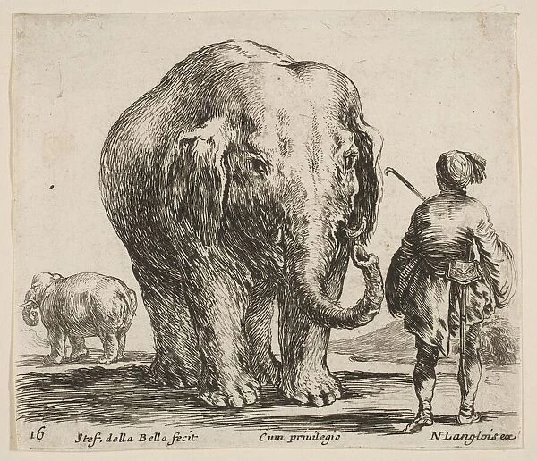 Plate 16: an elephant in center, his mahout standing to the right wearing an Orient