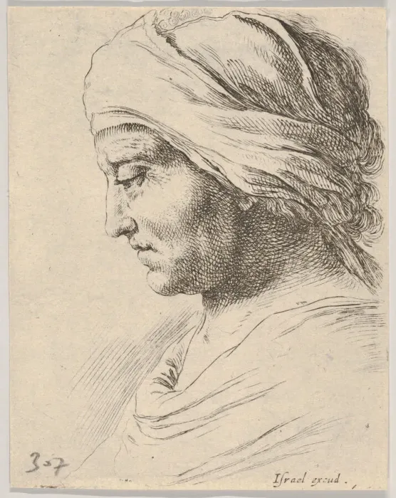 Framed Print : Plate 16: head of an old man in profile with a cloth tied around his head, from The B Framed Print : Plate 16: head of an old man in profile with a cloth tied around his head, from The B