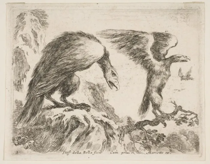 Framed Print : Plate 2: eagle and eaglet, from Various animals (Diversi animali), ca. 1641 Framed Print : Plate 2: eagle and eaglet, from Various animals (Diversi animali), ca. 1641