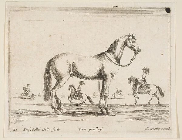 Plate 21: horse, from Various animals (Diversi animali), 1641
