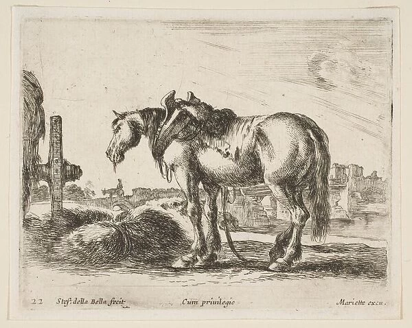Plate 22: cart horse, from Various animals (Diversi animali), ca. 1641