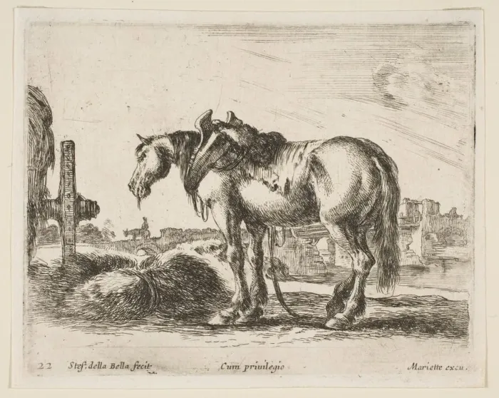 Framed Print : Plate 22: cart horse, from Various animals (Diversi animali), ca. 1641 Framed Print : Plate 22: cart horse, from Various animals (Diversi animali), ca. 1641