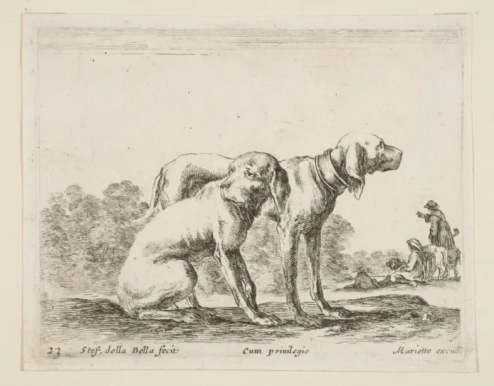 Framed Print : Plate 23: two hounds, from Various animals (Diversi animali), ca. 1641 Framed Print : Plate 23: two hounds, from Various animals (Diversi animali), ca. 1641
