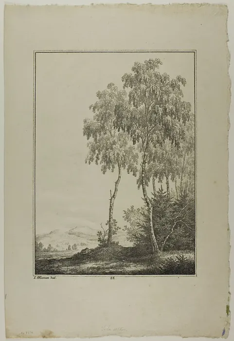 Framed Print : Plate 25 from Blatt Baum und Landschafts Studien, c.1810. Creator: Lorenz Ekemann Alesson Framed Print : Plate 25 from Blatt Baum und Landschafts Studien, c.1810. Creator: Lorenz Ekemann Alesson