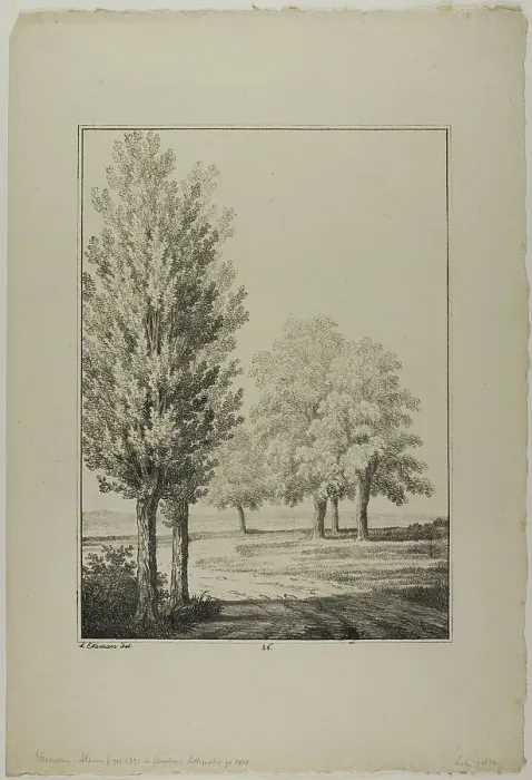 Framed Print : Plate 26 from Blatt Baum und Landschafts Studien, c.1810. Creator: Lorenz Ekemann Alesson Framed Print : Plate 26 from Blatt Baum und Landschafts Studien, c.1810. Creator: Lorenz Ekemann Alesson