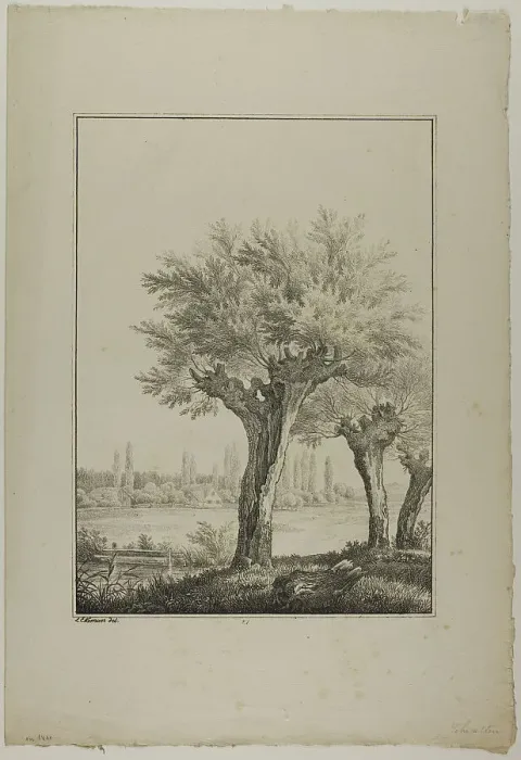 Framed Print : Plate 27 from Blatt Baum und Landschafts Studien, c.1810. Creator: Lorenz Ekemann Alesson Framed Print : Plate 27 from Blatt Baum und Landschafts Studien, c.1810. Creator: Lorenz Ekemann Alesson