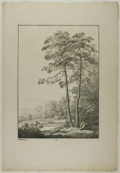 Framed Print : Plate 28 from Blatt Baum und Landschafts Studien, c.1810. Creator: Lorenz Ekemann Alesson Framed Print : Plate 28 from Blatt Baum und Landschafts Studien, c.1810. Creator: Lorenz Ekemann Alesson