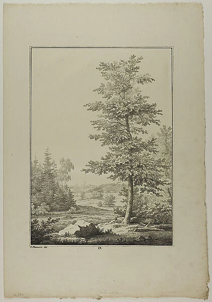 Plate 29 from Blatt Baum und Landschafts Studien, c.1810. Creator: Lorenz Ekemann Alesson