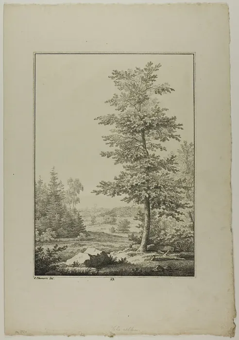 Framed Print : Plate 29 from Blatt Baum und Landschafts Studien, c.1810. Creator: Lorenz Ekemann Alesson Framed Print : Plate 29 from Blatt Baum und Landschafts Studien, c.1810. Creator: Lorenz Ekemann Alesson