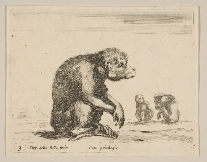 Framed Print : Plate 3: seated monkey, from Various animals (Diversi animali), ca. 1641 Framed Print : Plate 3: seated monkey, from Various animals (Diversi animali), ca. 1641