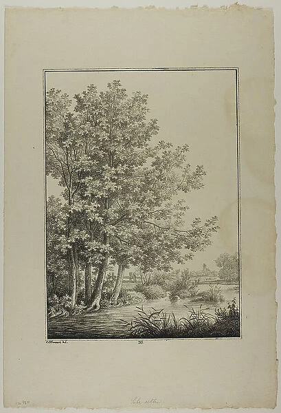 Plate 30 from Blatt Baum und Landschafts Studien, c.1810. Creator: Lorenz Ekemann Alesson