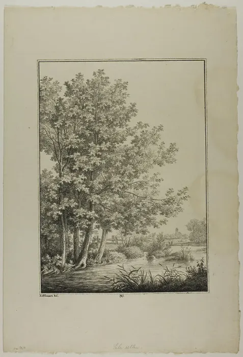 Framed Print : Plate 30 from Blatt Baum und Landschafts Studien, c.1810. Creator: Lorenz Ekemann Alesson Framed Print : Plate 30 from Blatt Baum und Landschafts Studien, c.1810. Creator: Lorenz Ekemann Alesson