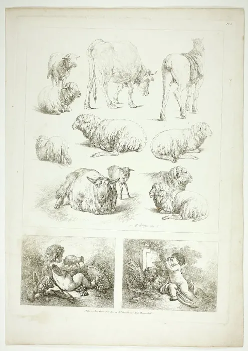 Framed Print : Plate Eight of 38 from Oeuvres de J. B. Huet, 1796–99. Creator: Jean Baptiste Marie Huet Framed Print : Plate Eight of 38 from Oeuvres de J. B. Huet, 1796–99. Creator: Jean Baptiste Marie Huet