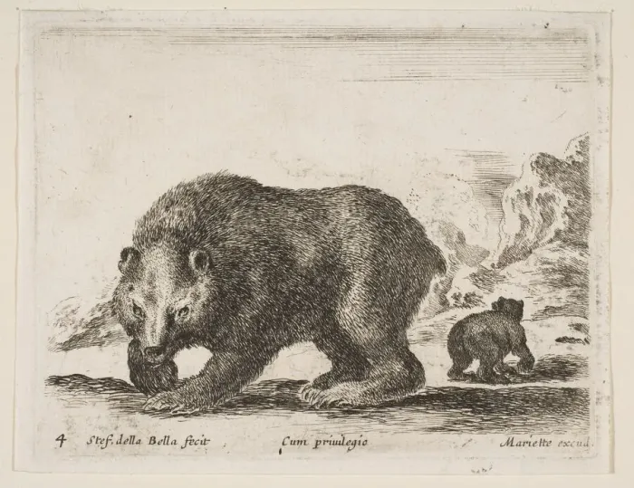 Framed Print : Plate 4: bear, from Various animals (Diversi animali), 1641 Framed Print : Plate 4: bear, from Various animals (Diversi animali), 1641