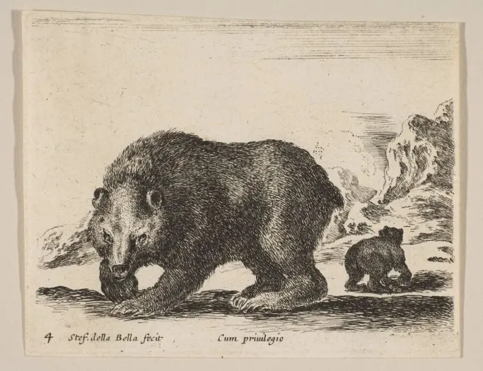 Framed Print : Plate 4: bear, from Various animals (Diversi animali), ca. 1641 Framed Print : Plate 4: bear, from Various animals (Diversi animali), ca. 1641