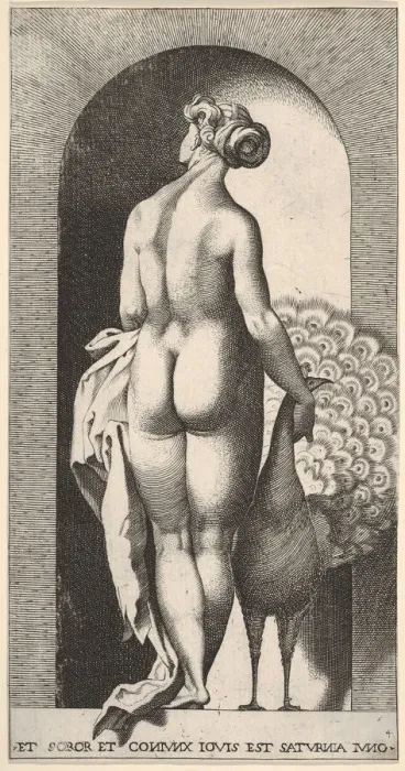 Framed Print : Plate 4: Juno standing in a niche, viewed from behind, stroking a peacock to her right