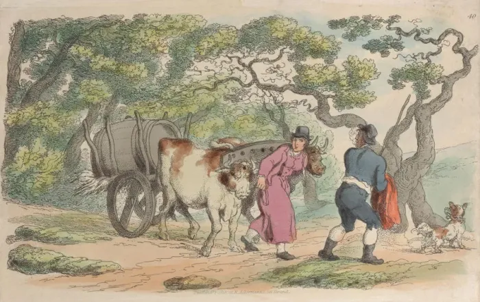 Framed Print : Plate 40, from World in Miniature, 1816. 1816. Creator: Thomas Rowlandson